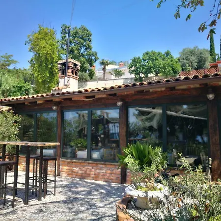 Villa Andor-3